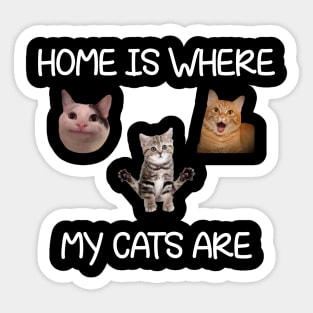 Home Is Where My Cats Are Cat Meme Sticker